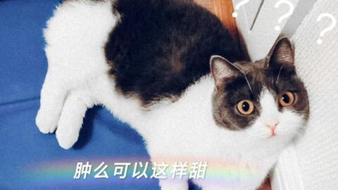 娱乐圈吃瓜嗑cp,CP组合甜蜜指数大揭秘